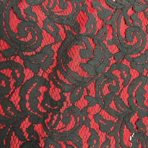 Tadashi Shoji Dress Red Embroidered Lace Sheath SZ 6 Whimsigoth Y2K Christmas - Picture 14 of 16